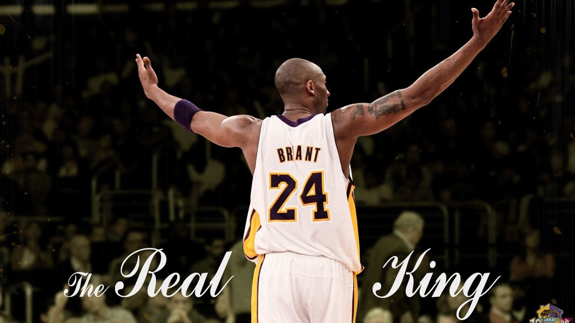 诺里斯状态火热，雷诺车队绝杀索伯车队—策略与勇气的双重奏鸣